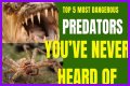 10 Terrifying And Deadly Predators You've Never Heard Of