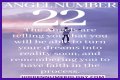
ANGEL NUMBER 22
