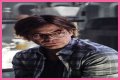 Billy Burke - Zoo Cast Member