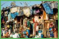 Crowded Cities and Rise in Diseases