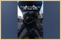 Night Rider Arrested, What Happened To Night Rider?