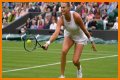 Wimbledon 2021: Aryna Sabalenka vs Karolina Pliskova Preview, Head to Head and Prediction